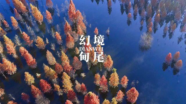 大明王朝胡宗宪,为何进不了内阁?这段御前对话,给出答案
